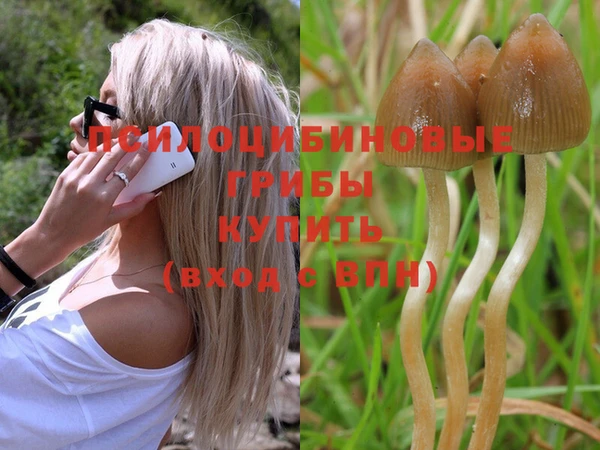 марки nbome Абдулино