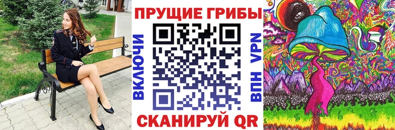 Псилоцибиновые грибы Psilocybe  кракен ONION  Стерлитамак  где купить наркоту 